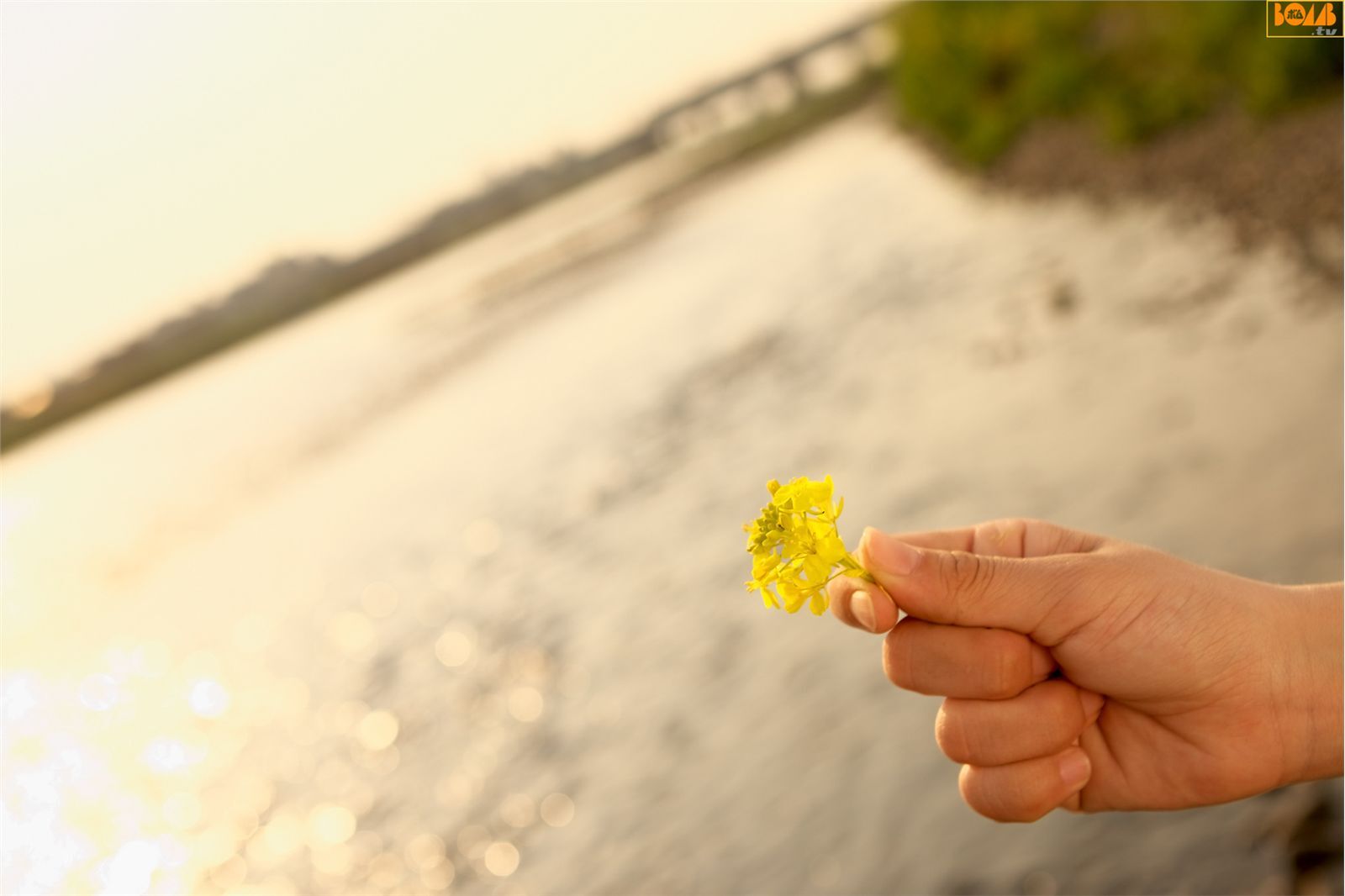 Nanako Niimi 新実菜々子 Bomb.tv 日本高清套图
